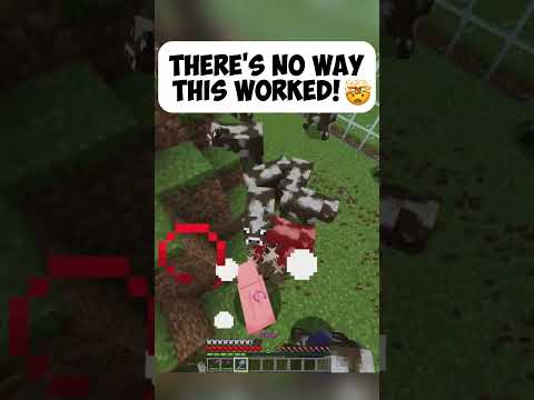 Click the link above to see if I'm LIVE 🫣 👀 #minecraft #gaming