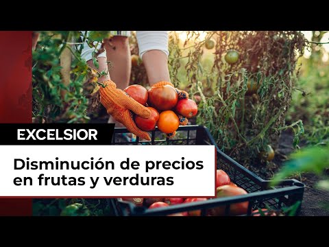 Perspectivas agroalimentarias tras el dato de inflación en México