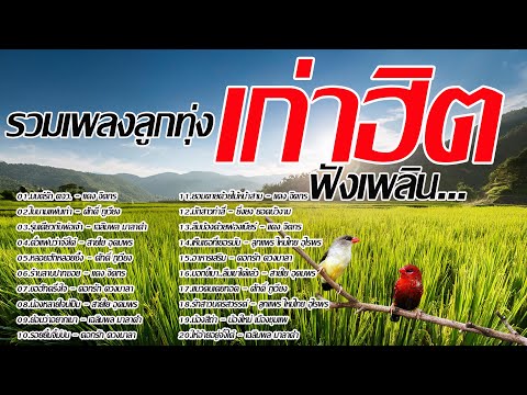 รวมเพลงลูกทุ่งเก่าฮิตฟังเพลิน