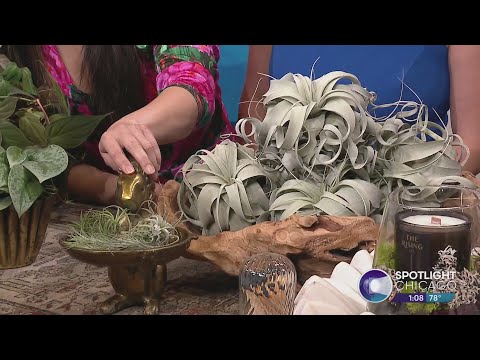 Good Roots: Your Neighborhood Plant Shop