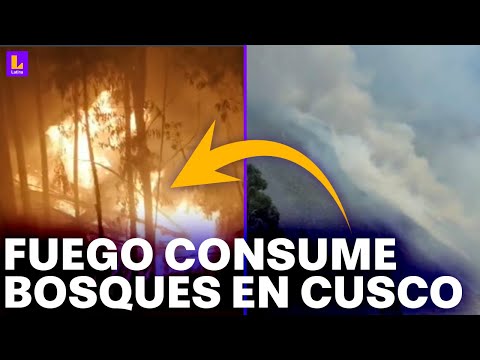 591 incendios forestales en Cusco ponen en riesgo a comunidades y cultivos