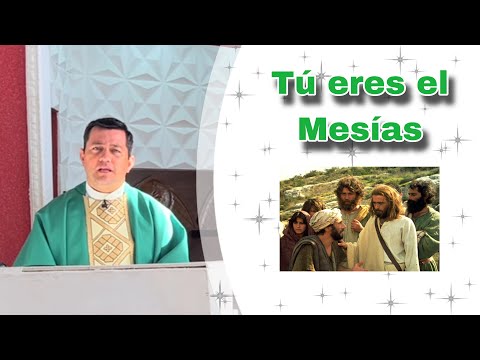 MISA DE HOY Domingo 15 de septiembre  de 2024- Padre Ricardo Prato