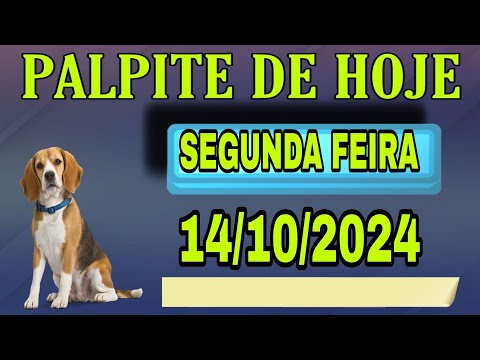 PALPITE DO NETO 14/10/2024