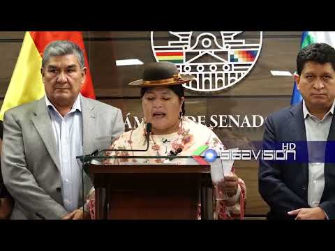 Evistas piden a naciones unidas acompañar elección judicial La Vicepresidenta del senado, Simona