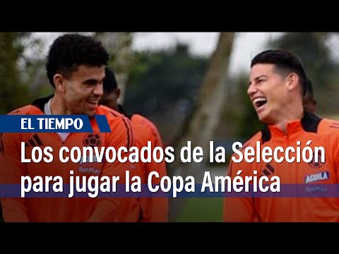 Un nuevo y un palo, en convocatoria de Selección Colombia para la Copa América | El Tiempo