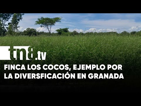 Finca Los Cocos: Una apuesta por la diversificación en la producción en Granada