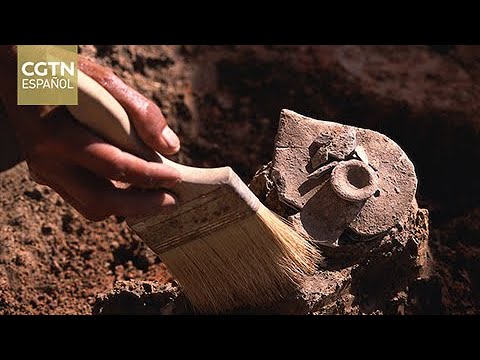 Cabeza de un dragón con cuerpo de serpiente principal hallazgo de arqueólogos chinos en Honduras