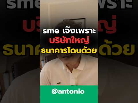 ที่ปรึกษาการเงินantonioแก้หน