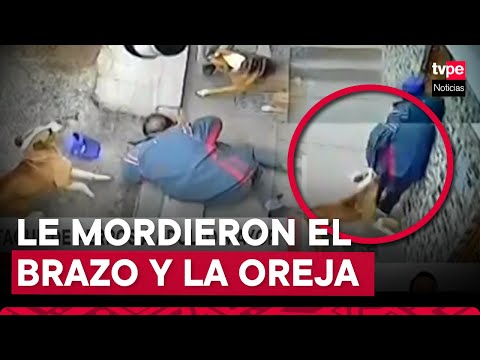 Tacna: cámaras registran ataque de perros a adulto mayor