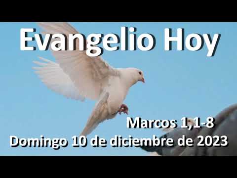 EVANGELIO DEL DIA - Domingo 10 de diciembre de 2023 - Marcos 1,1-8