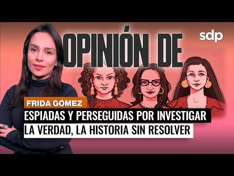 PERSEGUIDAS, tres defensoras de DERECHOS HUMANOS espiadas por el ESTADO IOpinión de FRIDA GÓMEZ ?