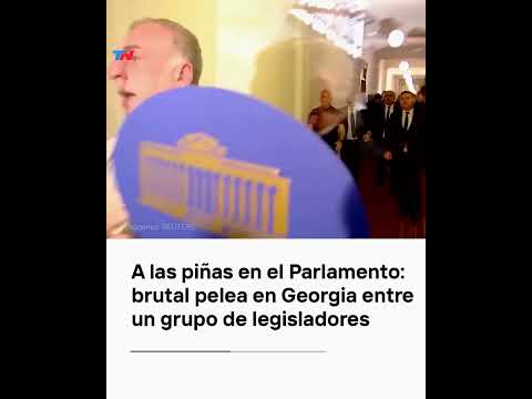 A las piñas en el Parlamento: brutal pelea en Georgia entre un grupo de legisladores