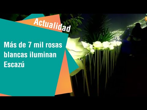 Más de 7 mil rosas blancas iluminan San Antonio de Escazú