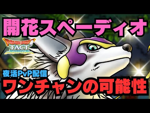 【ドラクエタクト】サタデーミッドナイトLIVE！開花キングスペーディオの可能性を探る！ブラックフライデーガチャ第二弾20連引きます！【DQT】