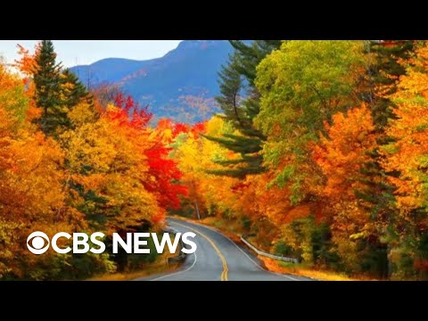 How climate change is impacting fall foliage