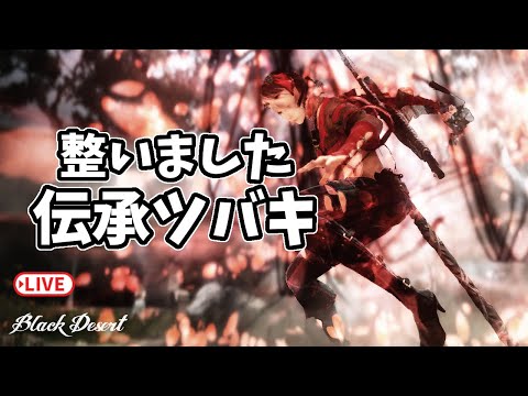 ＃167 打撃感が最高な伝承ツバキをやっていく・・・的なライブ配信【黒い砂漠】