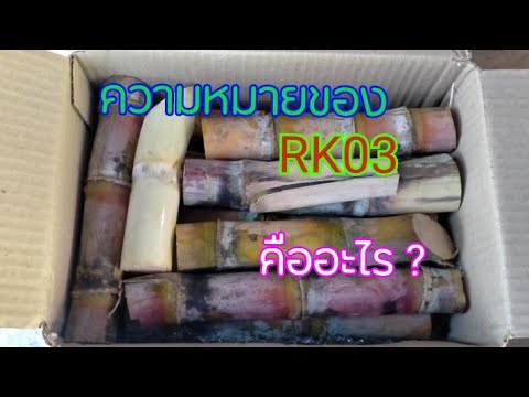 อ้อย-RK03--ความหมาย-ของ-อักษร- อ้อย-RK03--ความหมาย-ของ-อักษร-