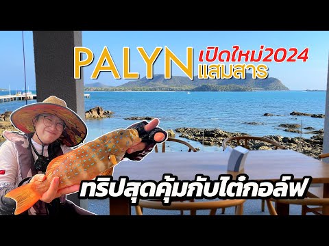 PALYNปารินร้านอร่อยวิวสวยท