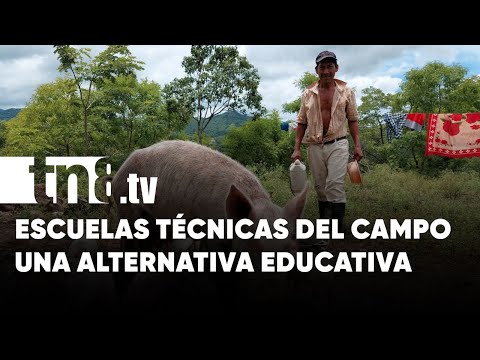 Productores de San Lucas aprovechan estrategia de escuelas técnicas del campo - Nicaragua
