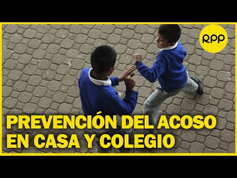Medidas preventivas para combatir el bullying escolar en el Perú