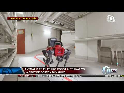 Ciencia y Tecnología | Anymal D es el perro robot alternativo a spot de Boston Dynamics