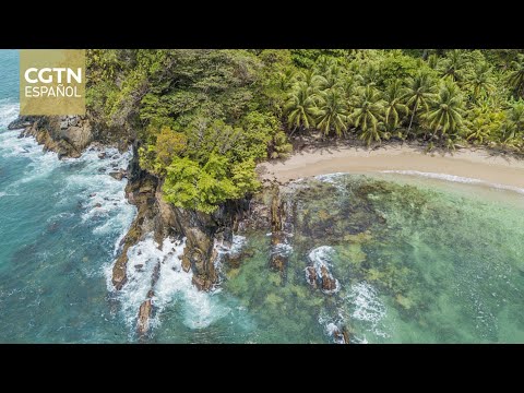 Las playas de arena blanca en Honduras sufren los efectos del cambio climático