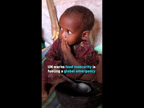 UN warns food insecurity is fueling a global emergency