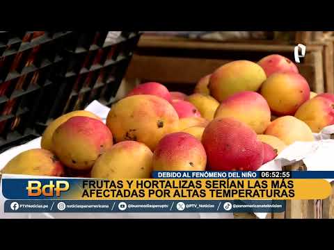 Niño costero: frutas y hortalizas podrían incrementar su precio por altas temperaturas