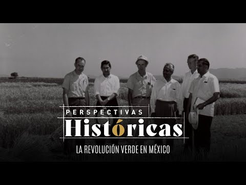 Perspectivas históricas | La revolución verde en México