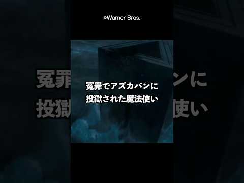 ハリポタ間違ってアズカバン送りにされた魔法使い#harrypotter #ハリーポッター