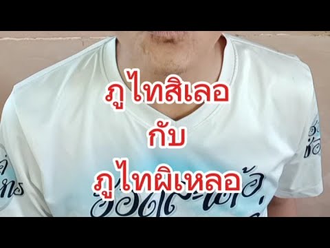 ภูไทสิเลอภูไทผิเหลอเว้าจาภาษา