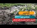 كارثة في أبين.. السيول تبتلع المزارع وتداهم المنازل!