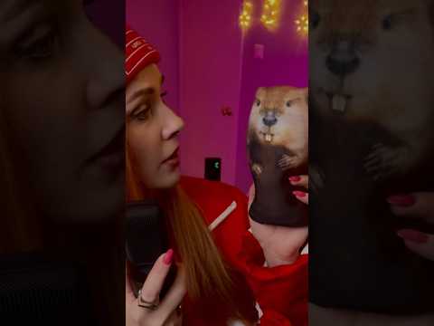 SLAVA SKRIPKA — Bobr (cover) 🦫 #русскаямузыка #каверы #slavaskripka #бобр