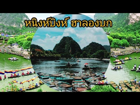 หนิงห์บิงห์ล่องเรือฮาลองบกสว