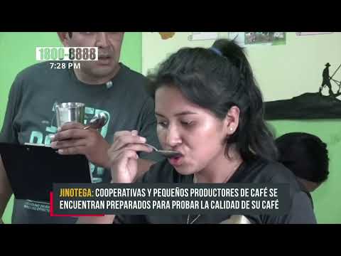 Realizan lanzamiento del certamen «Taza de la Excelencia 2022» en Jinotega - Nicaragua