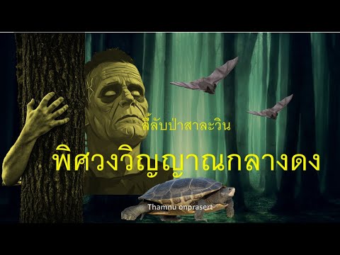 ๑๕๕.พิศวงวิญญาณกลางดงลี้ลับป่