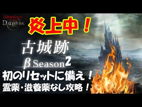 【WIZダフネ】古城跡βシーズン2！まさかの初ランキングリセット！また不具合で炎上中！霊薬・滋養薬なしで攻略できるか？【Wizardry Variants Daphne】#ウィズダフネ