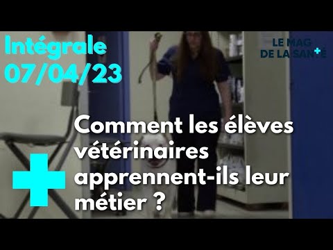 Le magazine de la santé - 07 avril 2023 [Intégrale]