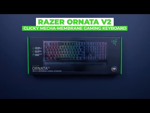 Razer Ornata V2 | The Hybrid Advantage