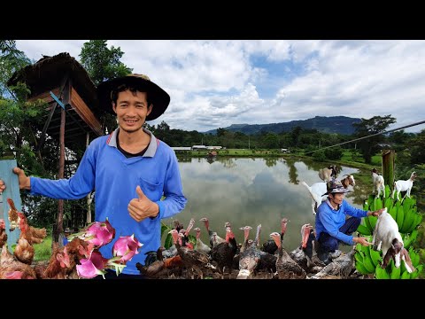 ท่องเที่ยวเชิงเกษตรผสมผสาน--สว ท่องเที่ยวเชิงเกษตรผสมผสาน--สว