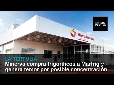 Minerva compra 3 frigoríficos de Marfrig en Uruguay y abre debate sobre concentración en el sector