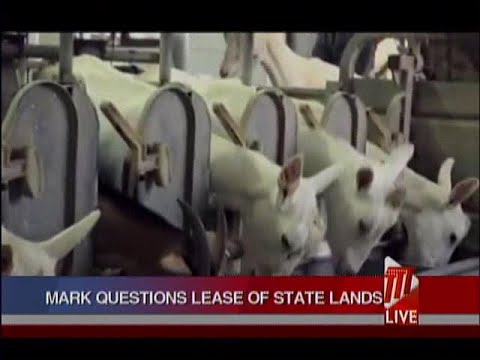 Opposition Wants Answers On Marilissa Farms Lease