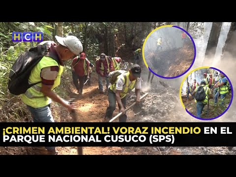 ¡Crimen ambiental! Voraz incendio en el Parque Nacional Cusuco (SPS)