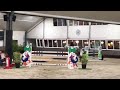 Show jumping horse Springpaard met veel vermogen