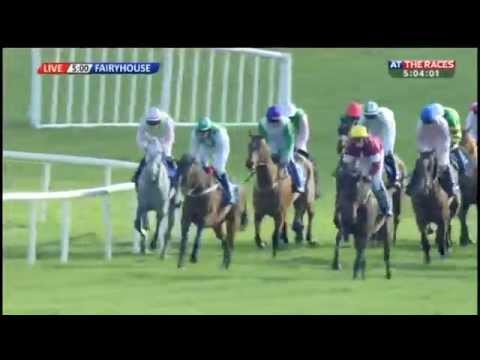 speed dating cheltenham 2015