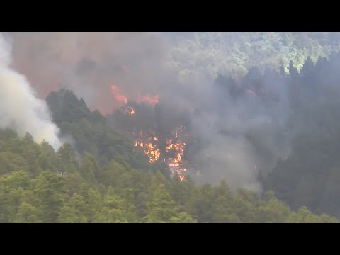 Se inician las maniobras de perimetrado de las llamas del incendio de Puntagorda (La Palma)