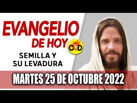 Evangelio del día de Hoy Martes 25 Octubre 2022 LECTURAS y REFLEXIÓN Catolica | Católico al Día