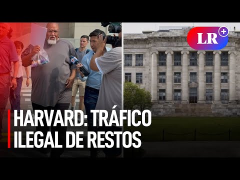 Impactante caso en la prestigiosa universidad: Robo y tráfico de restos humanos en Harvard