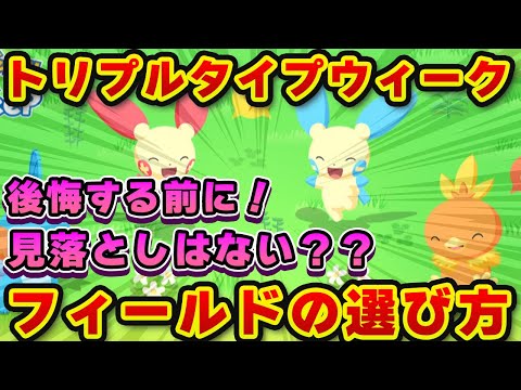 【ポケモンスリープ】トリプルタイプウィーク！！失敗しないフィールドの選び方！！【無課金、微課金】