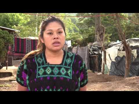 Desplazamiento, el retrato del Día de Indígenas en Mesoamérica